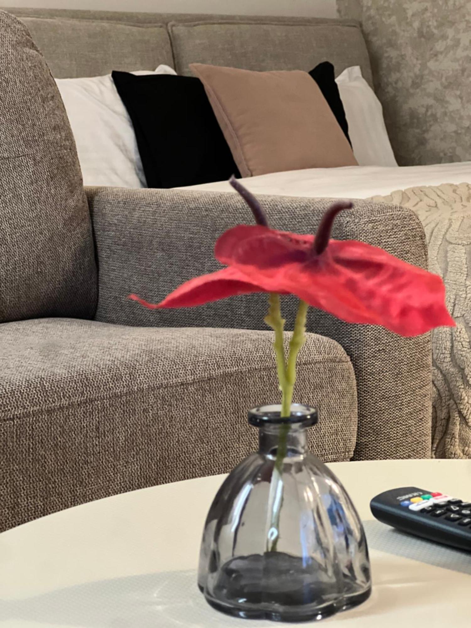 أستوديو غرفة و حمام وركن مطبخ Modern In * Riyadh